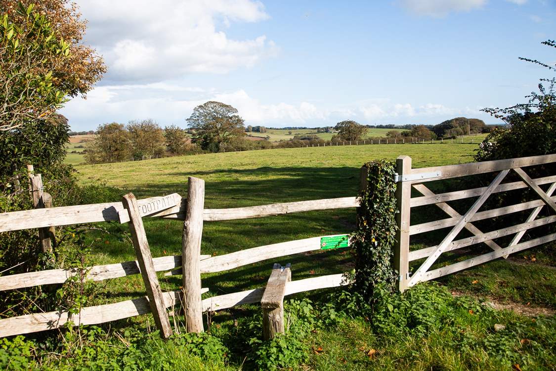 There are many excellent walks around the area.