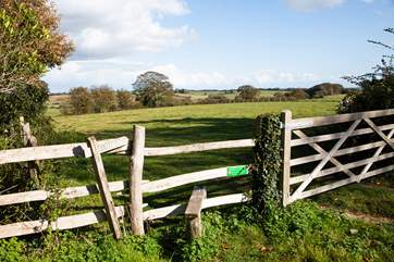 There are many excellent walks around the area.