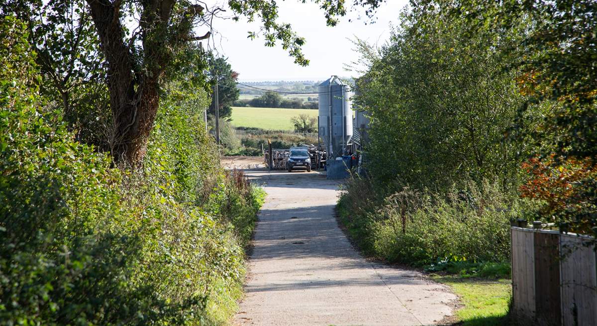 The lane that leads to the farmyard and Moorhen Cottage.