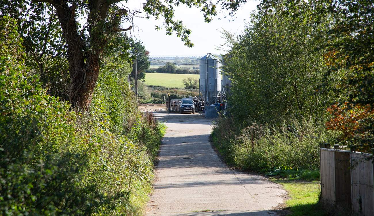 The lane that leads to the farmyard and Moorhen Cottage.