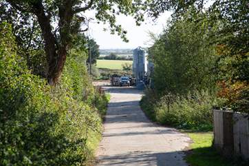 The lane that leads to the farmyard and Moorhen Cottage.