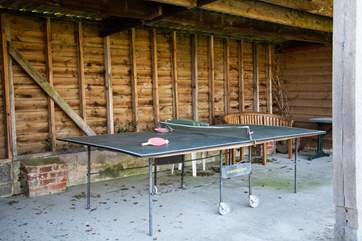 Anyone for table-tennis?