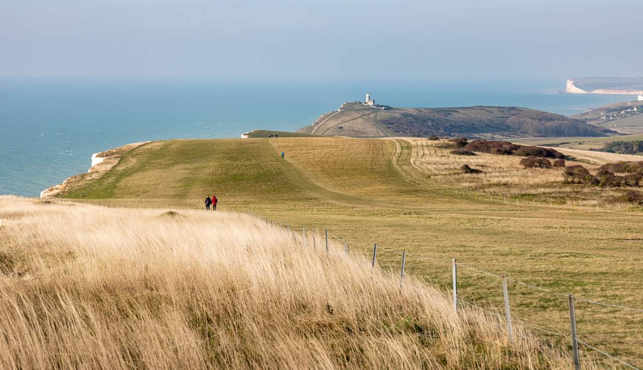 Fantastic walks on the South Downs.