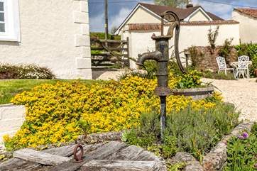 There are lovely features throughout the surrounding gardens.