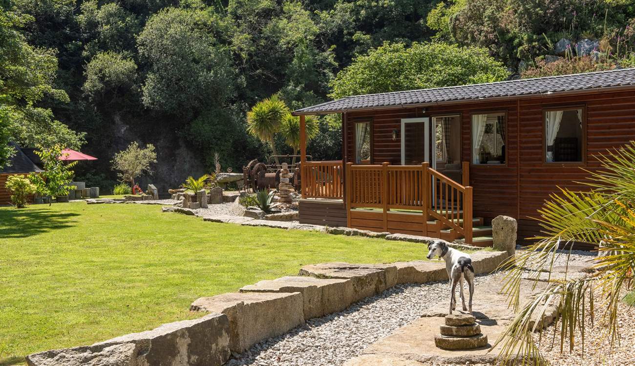 Your four-legged friend is also welcome to join you on your adventure! 