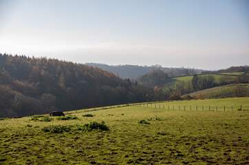 Walking trails lead straight from your doorstep. These valleys are simply stunning all year round.