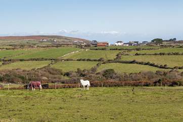 You are deep in walkers' paradise. You can walk to St Ives, or St Just if you're feeling energetic!
