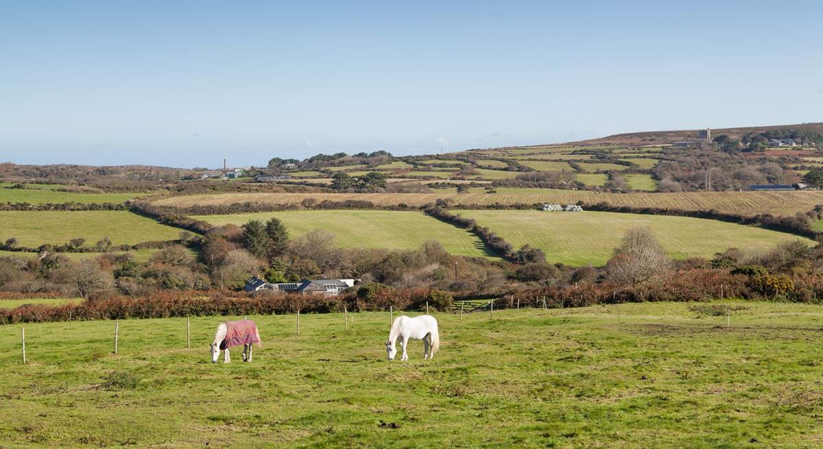 Watch the ponies in the surrounding fields - please keep your dogs on a lead. 