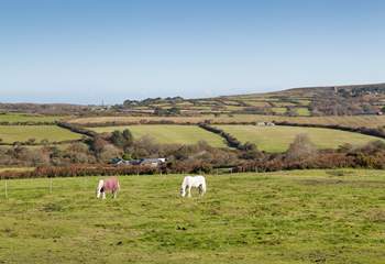 Watch the ponies in the surrounding fields - please keep your dogs on a lead. 