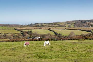 Watch the ponies in the surrounding fields - please keep your dogs on a lead.