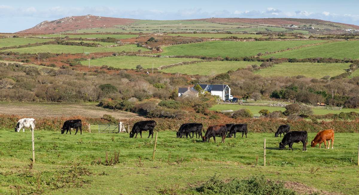 You may be lucky enough to see the owners' livestock from their working farm graze in a field nearby. 