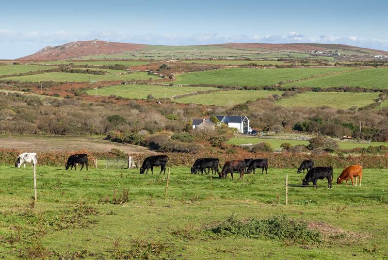 You may be lucky enough to see the owners' livestock from their working farm graze in a field nearby. 