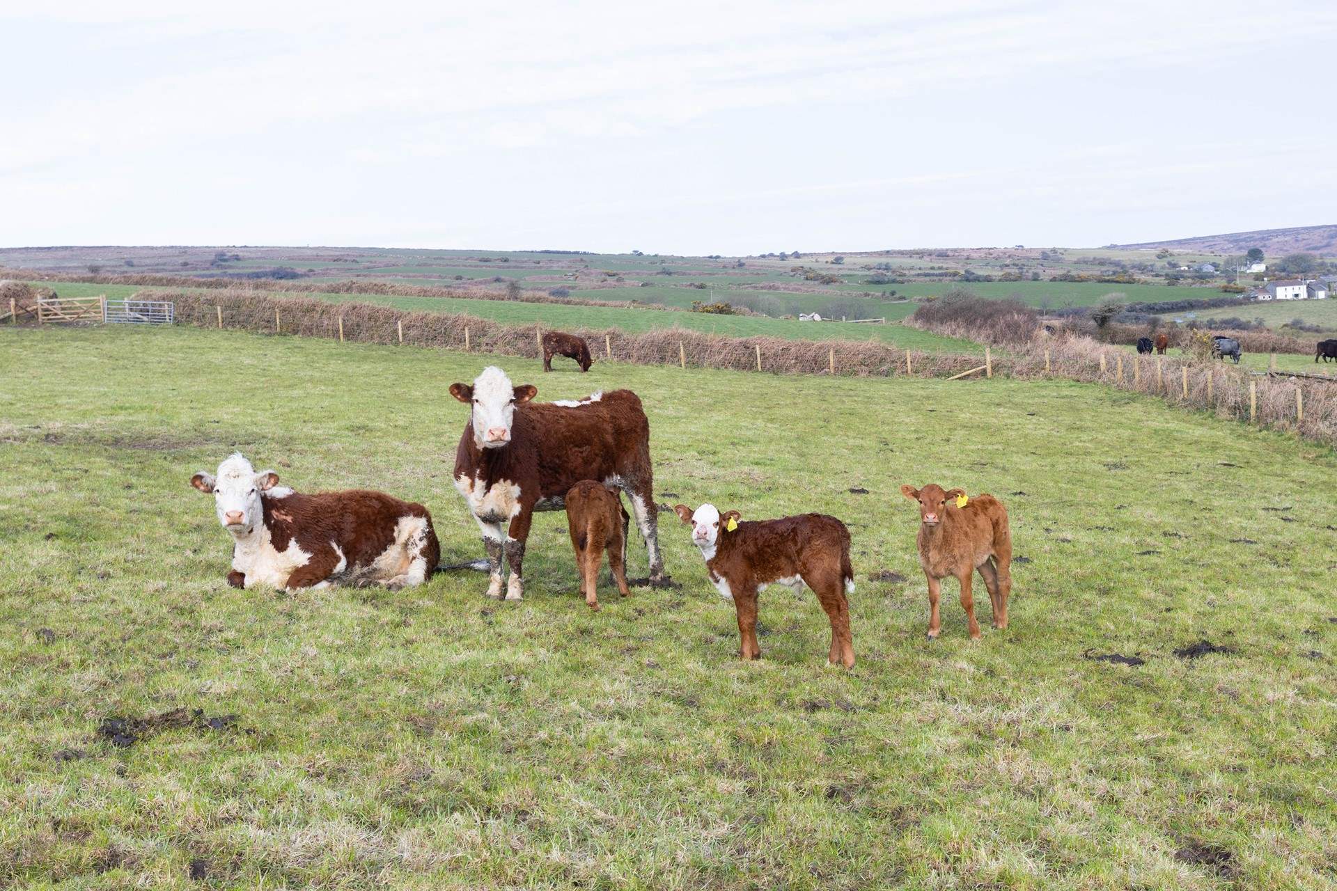 A picture perfect location.