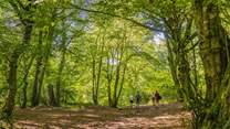 You'll never tire of exploring the glorious Mendips.