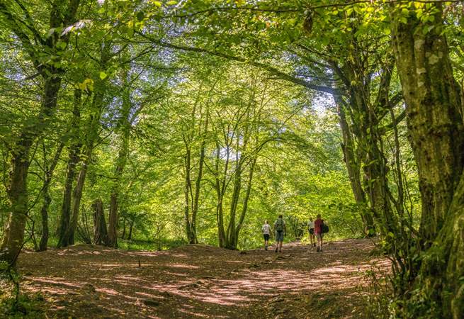 You'll never tire of exploring the glorious Mendips.