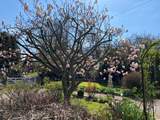 The gorgeous Magnolia tree that gives this cute cottage its name.