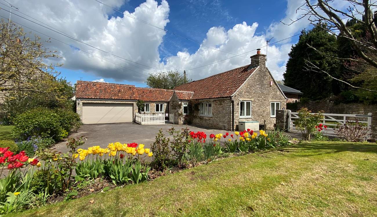 Pretty as a picture!