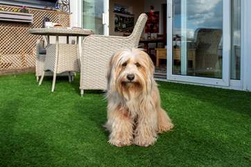 The owner's gorgeous dog may want to give you a warm welcome and then leave you to enjoy your holiday in peace.