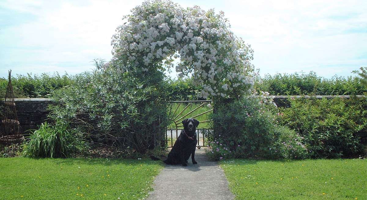 Your four-legged friends will love the enclosed garden.