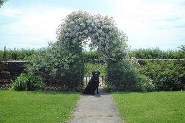 Your four-legged friends will love the enclosed garden.