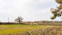 The views are really quite special and you'll feel as though you've really escaped the hustle and bustle of daily life.