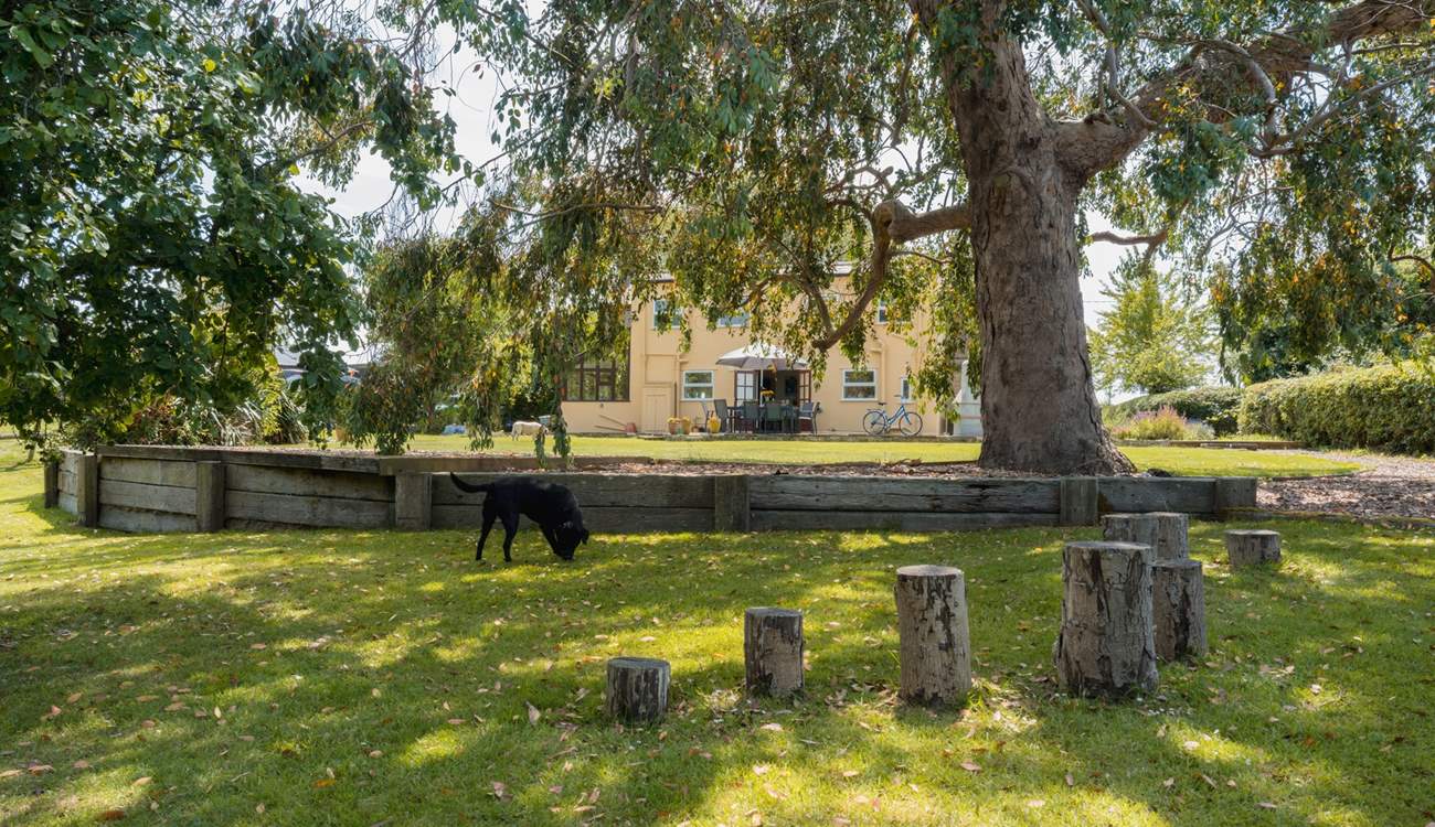 The garden is cleverly split into magical areas to explore