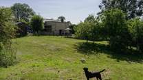 Acres to explore with two paddocks in addition to the glorious enclosed dog-friendly gardens.