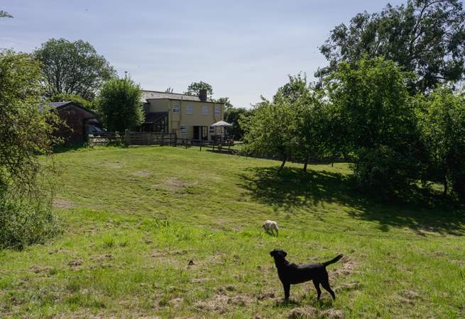 Acres to explore with two paddocks in addition to the glorious enclosed dog-friendly gardens