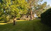 Mature garden views back to the house - Thumbnail Image