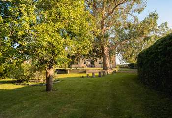 Mature garden views back to the house