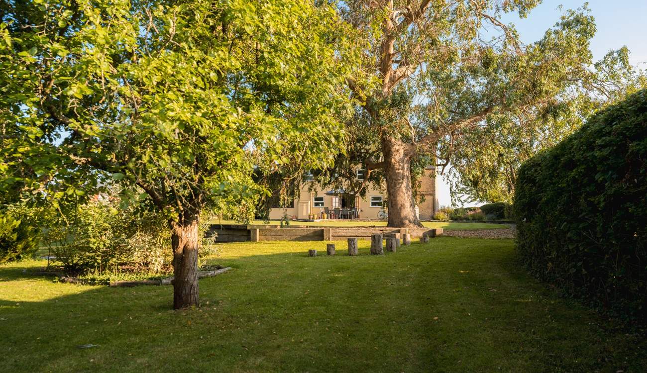 Mature garden views back to the house