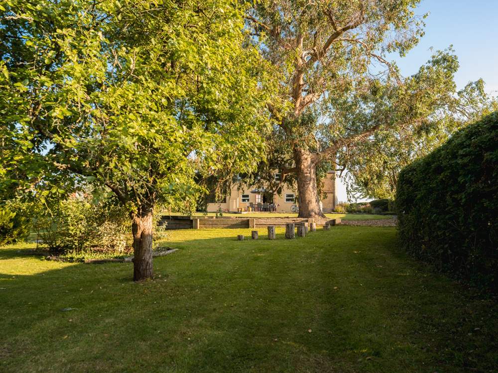 Mature garden views back to the house