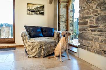Your four-legged friends are more than welcome.