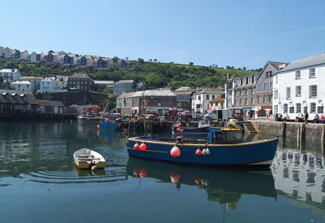 You can book a fishing trip from the harbour.