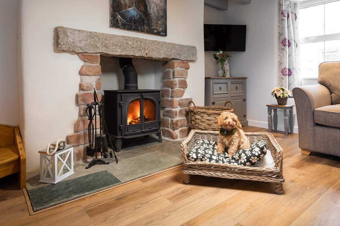 Jackdaw Cottage is dog friendly too, and your four-legged friend (like Teddy in the photograph) will be made to feel very welcome.