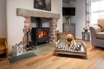 Jackdaw Cottage is dog friendly too, and your four-legged friend (like Teddy in the photograph) will be made to feel very welcome.