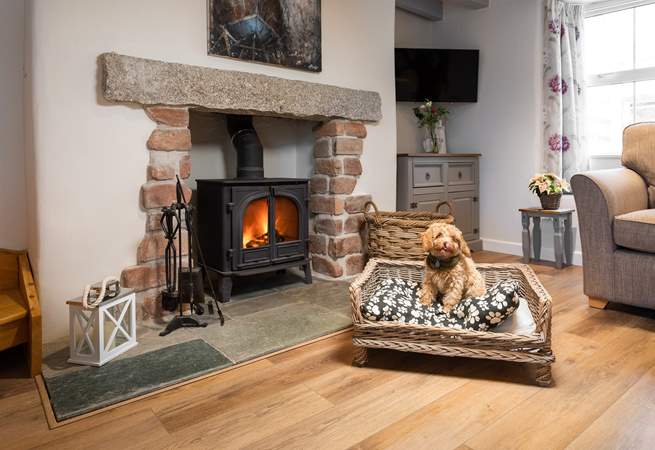 Jackdaw Cottage is dog friendly too, and your four-legged friend (like Teddy in the photograph) will be made to feel very welcome. 