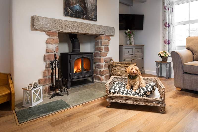 Jackdaw Cottage is dog friendly too, and your four-legged friend (like Teddy in the photograph) will be made to feel very welcome. 