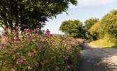 Don't forget your walking boots to explore the many foot paths in Cornwall and Devon. - Thumbnail Image