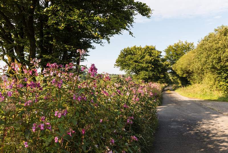 Don't forget your walking boots to explore the many foot paths in Cornwall and Devon.