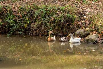 You will enjoy spotting the wildlife.