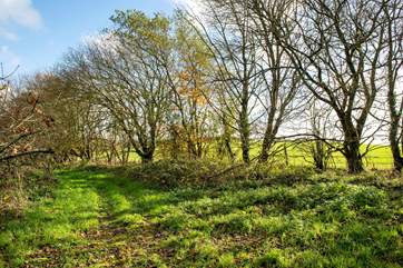 You are welcome to explore the owners' grounds and woodlands.