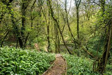 You are welcome to explore the owners' grounds and woodlands