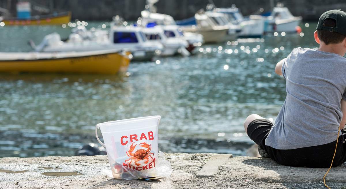 The whole family will love crabbing on Porthleven harbour. 