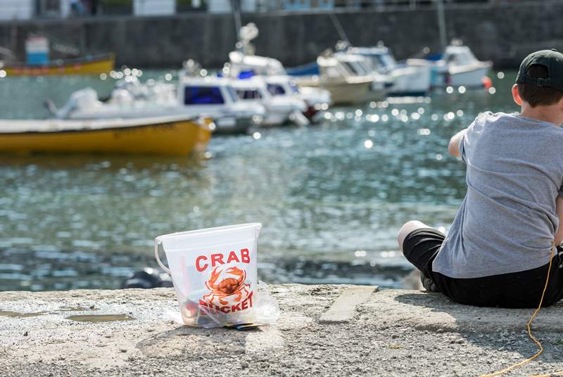 The whole family will love crabbing on Porthleven harbour. 