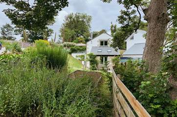 The fence dividing from the cottage next door.