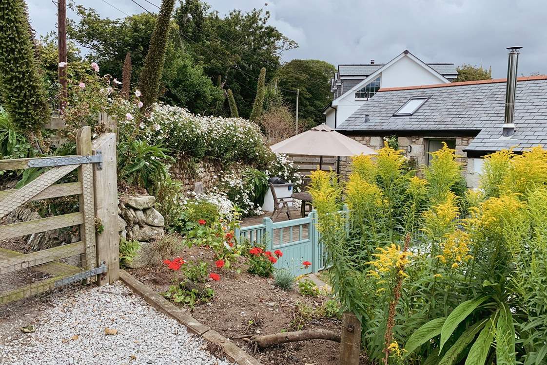 The lovely garden in full bloom.