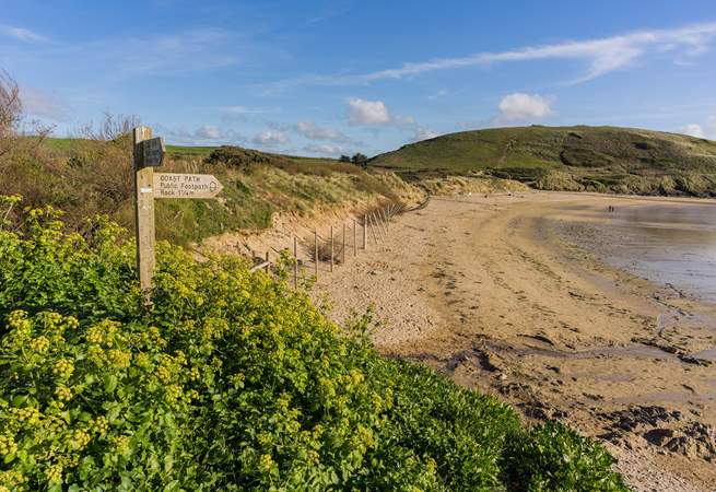 Take the coast path to Daymer Bay and stop and have a paddle. 