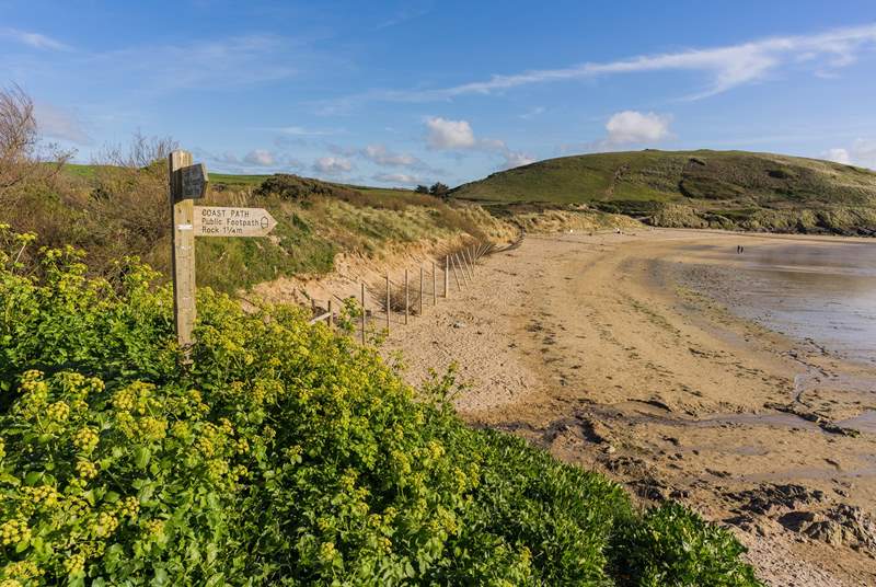Take the coast path to Daymer Bay and stop and have a paddle. 