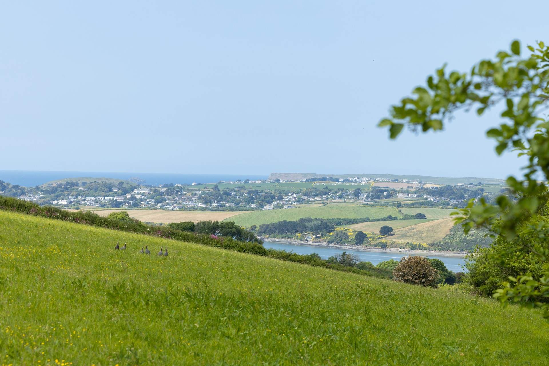 Some feathered friends may share this far-reaching view with you.